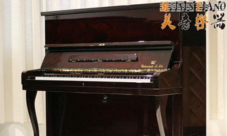 名师引路，琴韵悠长 专业钢琴培训的艺术与科学